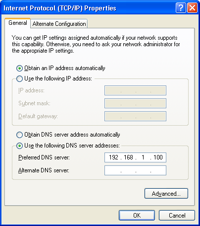 Setting the DNS server